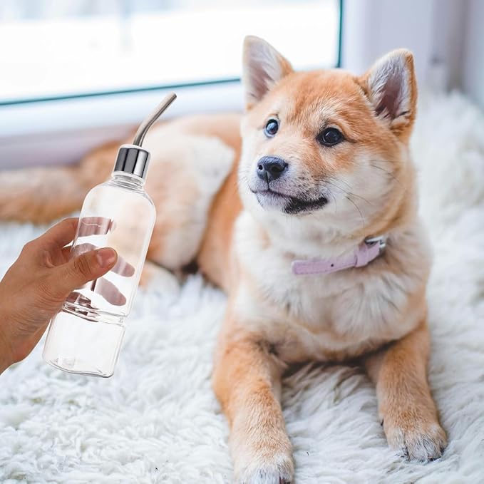 Baluue Small Animal Water Bottle 350ml Stainless Steel – No-Drip Leak-Proof Automatic Dispenser – for Wire Cages for Guinea Pigs Hamsters Rabbits Ferrets