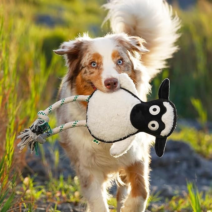 Green Sheep White Sheep Rope Toy for Dogs, Durable Plush Dog Chew Toy with Squeaker, Interactive Pet Toy for Small to Large Dogs, Tough & Recycle Cotton Rope Dog Toys