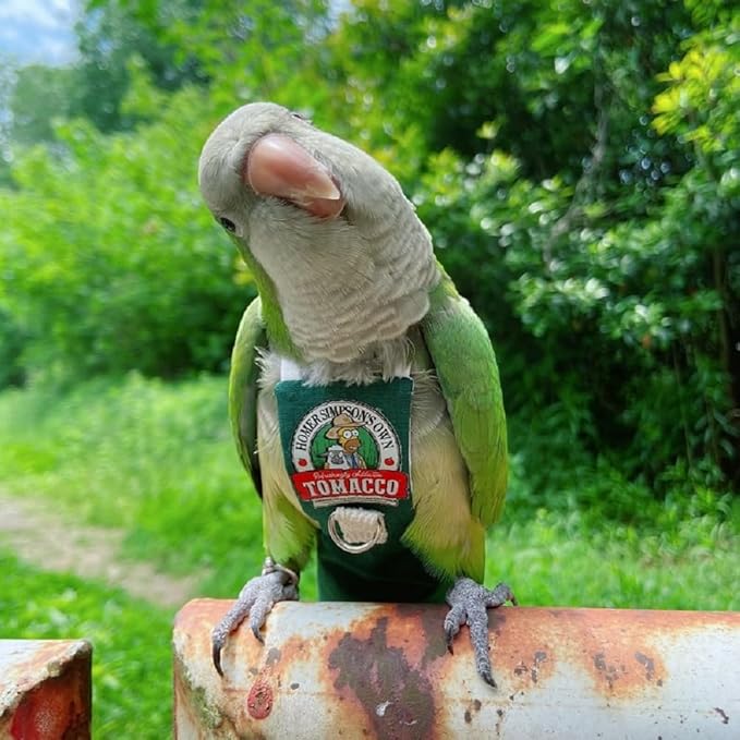 Bird Clothes Parrot diapers bird flight suits, reusable waterproof diapers pet bird supplies (3XL)