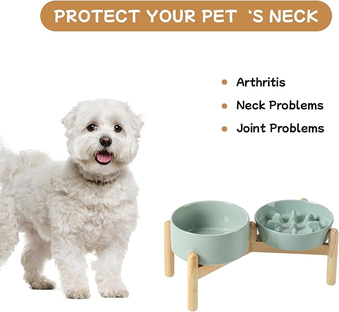 Havniva Ceramic 0.9 Cup Raised Slow Feeder Dog Bowl Set, Elevated 6.1inch Slow Dish and 6.1inch Water Bowl with Wooden Stand for Small Dogs (2 x Light Green+ Stand)