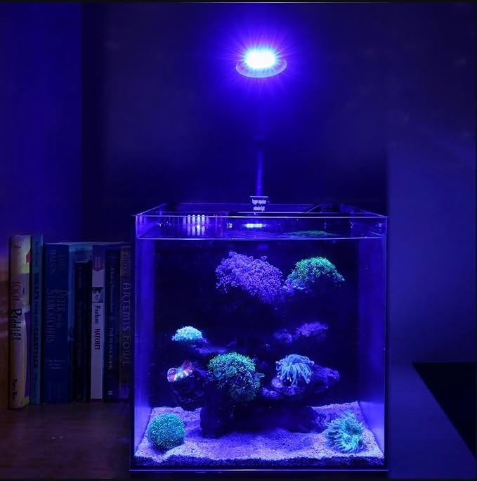 Ahareef Clip-on Full Spectrum LED Reef Light 30W for SPS/LPS Corals – Dimmable Aquarium Light with 3 Timers/5 Brightness/3 Models, Perfect for Saltwater & Nano Reef Tanks (16-20 Inch)