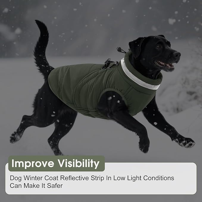 SAWMONG Dog Coat, Warm Dog Winter Coat, Waterproof Fleece Jacket, Cold Weather Dogs Jacket (XL,Green)