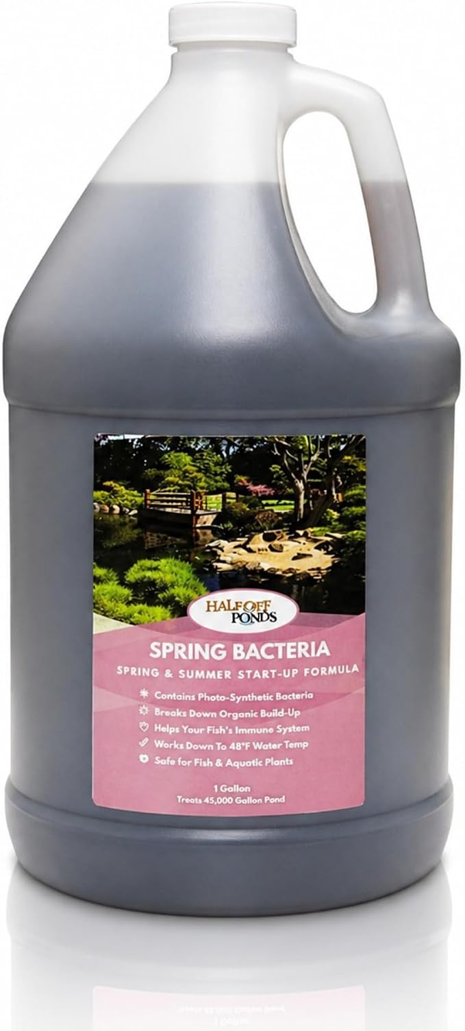Spring Pond Bacteria Treatment with Beneficial Bacteria & Enzymes, 1 Gallon | Spring start-up formula, boosts beneficial bacteria, breaks down sludge, fish and plant safe, ideal for biological filters