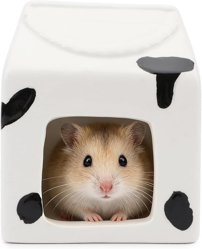 Hypeety Ceramic Hamster Hideout Habitat House for Small Animals Gerbil Dwarf Hamster Mice Cool House for All Season Cute Decor Hut (White)