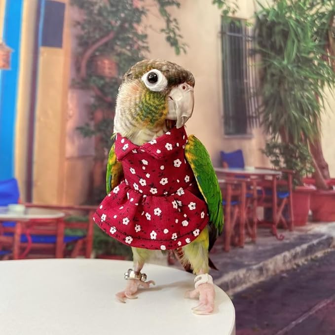 Bird Costume Bird Diaper Flight Suit Vintage Floral Dress Summer Skirt Clothes Cosplay Photo Prop for Parrots Lovebird Parakeet Cockatiel Small Animals Apparel (Green Cheek Conure)