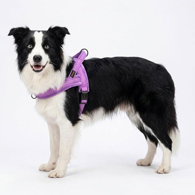 Didog Soft Flannel Padded Dog Vest Harness, No Pull/Quick Fit Reflective Dog Strap Harness, Easy for Training Walking (M:Chest 22-26", Purple)