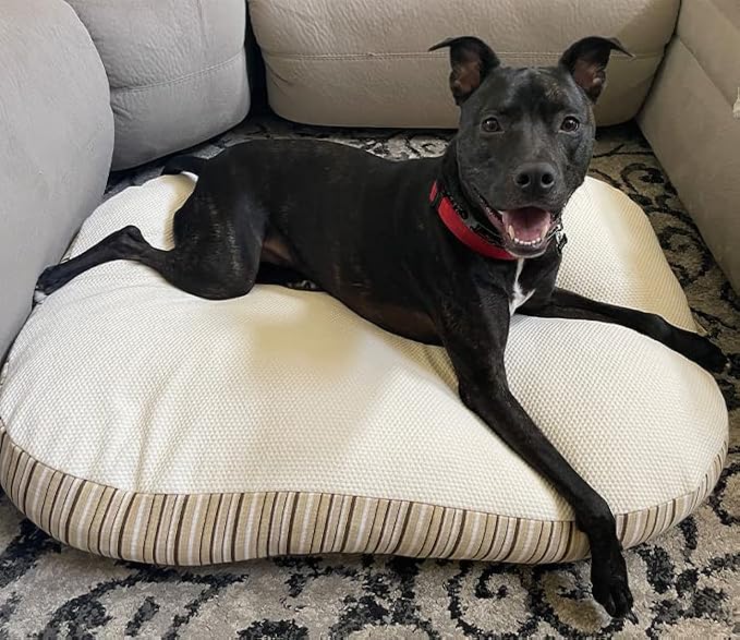Essentia Kingston Luxury Organic Pet Bed - Medium