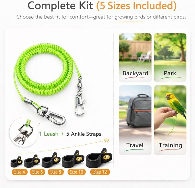Parrot Bird Harness Leash Anti-bite Outdoor Flying Training Rope with 5pcs Different Sizes of Soft Foot Loops and Training Whistle(Upgraded Version of Ankle Ring)