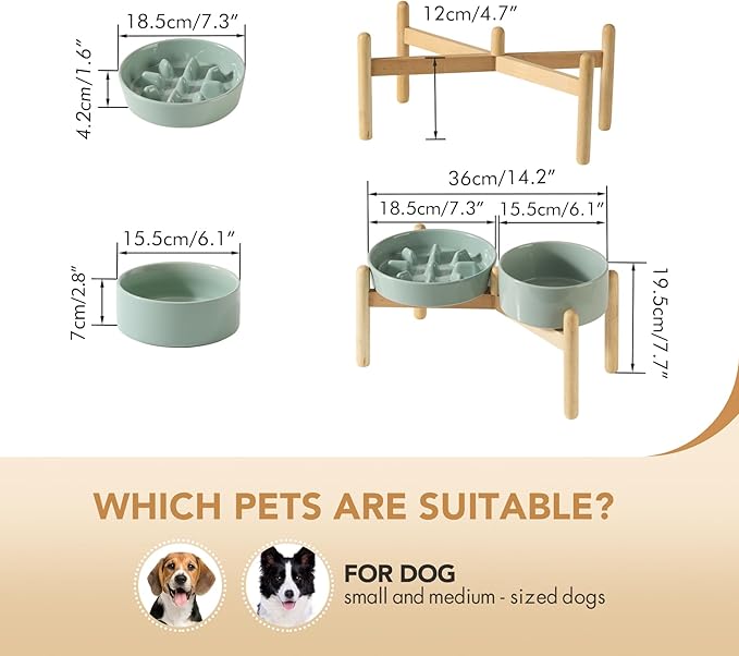 Havniva Ceramic 1.2 Cup Raised Slow Feeder Dog Bowl Set, Elevated 6.1inch Bowl and 7.3inch Slow Pet Food Dish with Wooden Stand for Small and Medium Dog (2 x Light Green+ Stand)