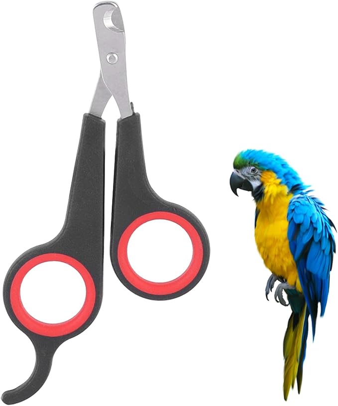 Bird Nail Clippers, Stainless Steel Small Animal Nail Clippers, Half Moon Pet Nail Scissors, Plastic Handle Pet Nail Clipper Scissors, Clipper Bird Grooming for Small Parrot Birds