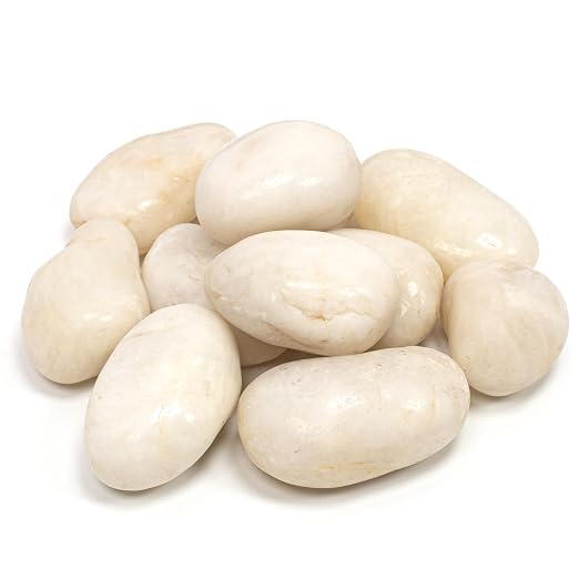 1-2" Polished Pebbles, Medium River Rocks for Potted Plants (5lb, White) | Natural River Stones, Highly Polished, for Large Planters & Fountains, Retains Soil Moisture, Approx 40-50 Rocks per 5 Lbs
