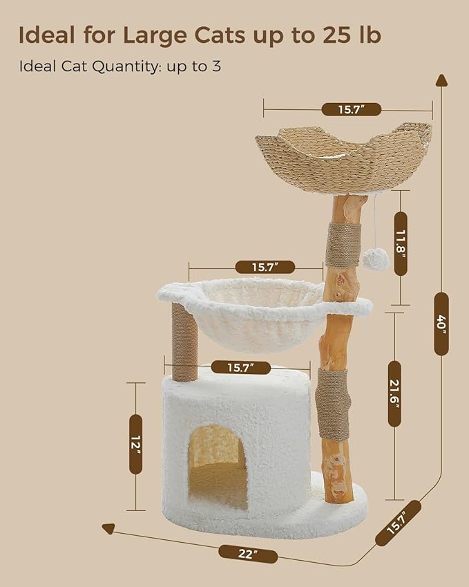 MUTTROS Modern Cat Tree for Large Cats, Wood Cat Tower for Indoor Cats, Real Branch Luxury Cat Furniture with Super Large Cozy Condo and Hammock & Scratching Post, Top Basket, White