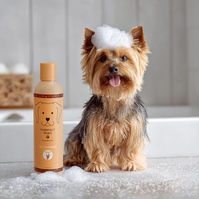Pet Shampoo for Dogs & Cats – Oatmeal & Vitamin E for Sensitive, Itchy Skin – Gentle, Vegan, Cruelty-Free, Sulfate-Free, Paraben-Free – Sweet Honey Almond Scent – Made in USA by Purrfect Paws