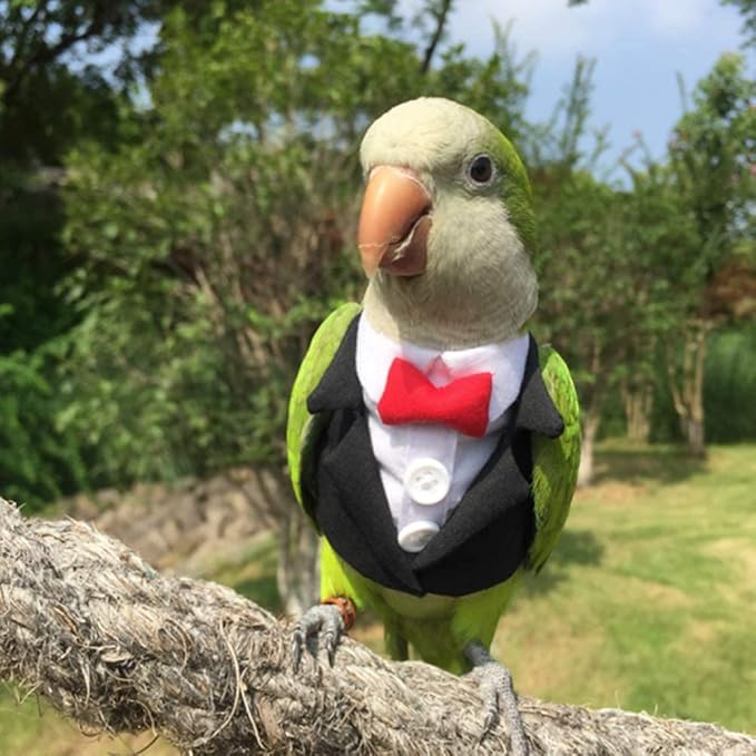 Bird Clothes Birds Flight Suit,Tuxedo Business Suit for Parrots African Greys Parakeet Cockatiel Sun Conure Christmas Party Birthday Cosplay Photo Prop Small Animals Apparel (L,Black Suit)