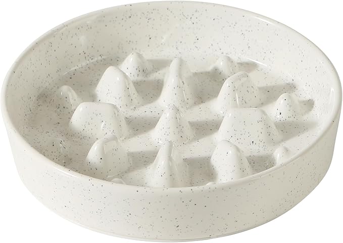 Havniva Slow Feeder Dog Bowls, 1.6 Cups Ceramic Dog Food Bowls 8.2 inch Slow Feeder for Medium Dogs Puzzle Bowls for Fast Eater, Pet Slow Feeding Dish Anti-Choking