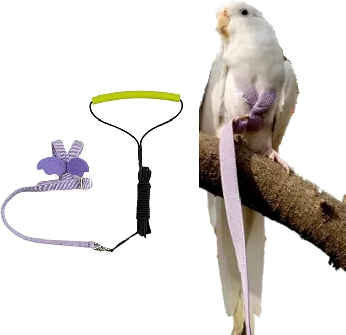 Bird Harness Leash Adjustable Outdoor Training Flying Harness Traction Rope with Cute Wing for Parrots Pigeons Budgerigar Lovebird Cockatiel Mynah (L,Purple)