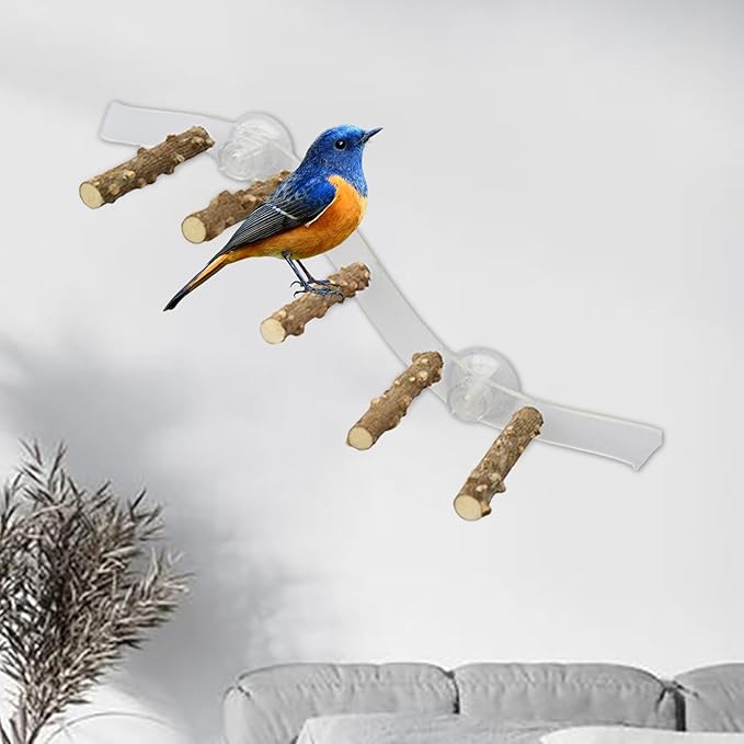 Suction Cup Wood Perch Toy, Wood Bird Perch Cage Accessories, Style C