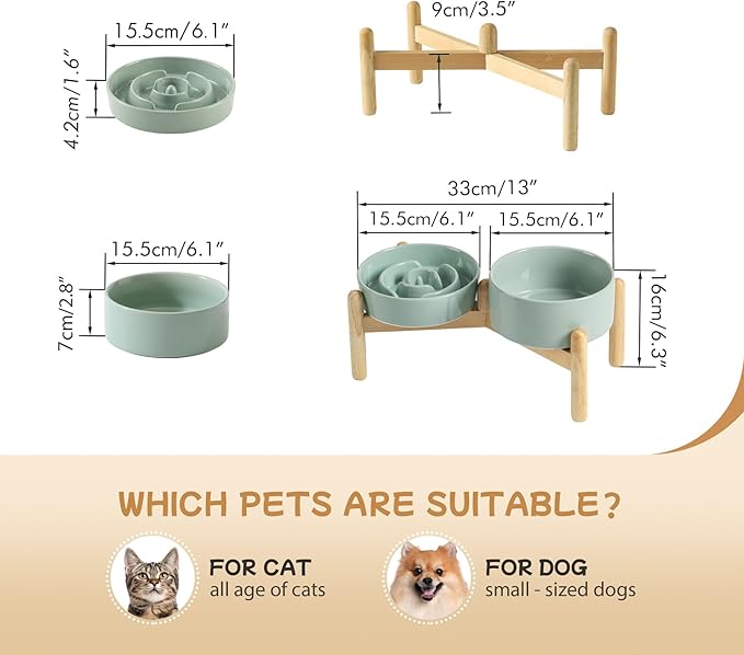 Havniva Ceramic 0.9 Cup Raised Slow Feeder Dog Bowl Set, Elevated 6.1inch Water Bowl and 6.1inch Slow Dish with Wooden Stand for Small Dogs(2 x Light Green+ Stand)