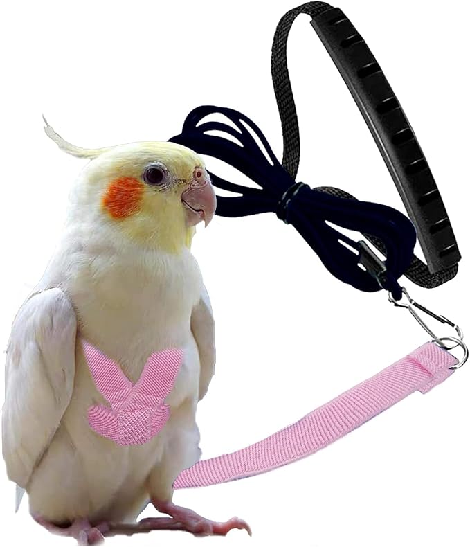 Birds Harness Leash Outdoor Flying Escape-Proof Adjustable Training Design Anti-Bite Bird Rope with Cute Wing for Parrots Scarlet Keck Mini Macaw Love Birds (Pink)