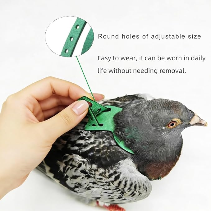 Adjustable Bird Harness & Leash Set for Small Birds,FitsBudgie,Parakeets, Conures, Cockatiels,Green Cheek,Quaker Parrots(Green, 2XL) Z6350-14