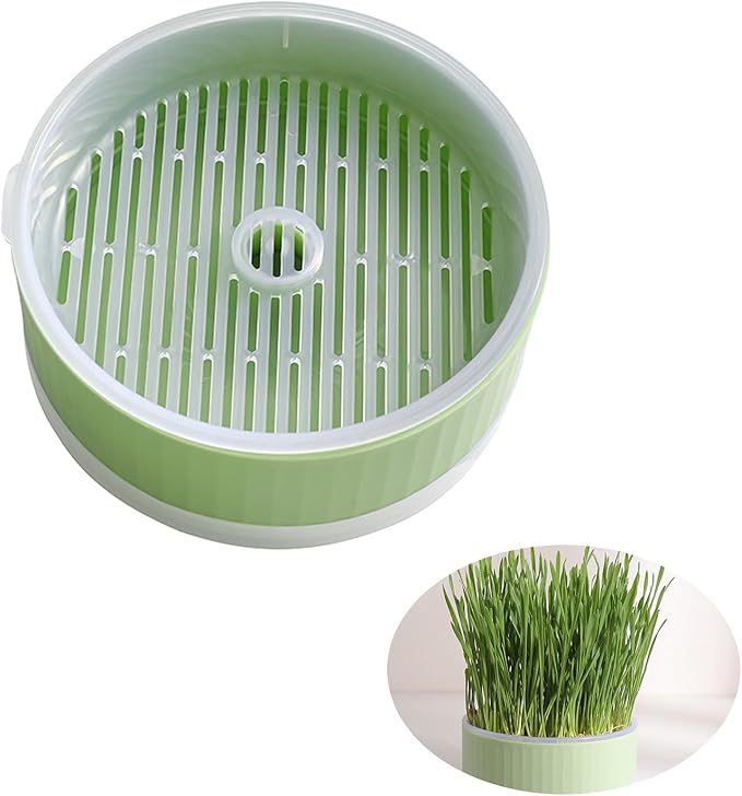 Hydroponic Cat Grass Planter Kit for Indoor Cats - Easy to Grow (No Seeds Included) (Green)