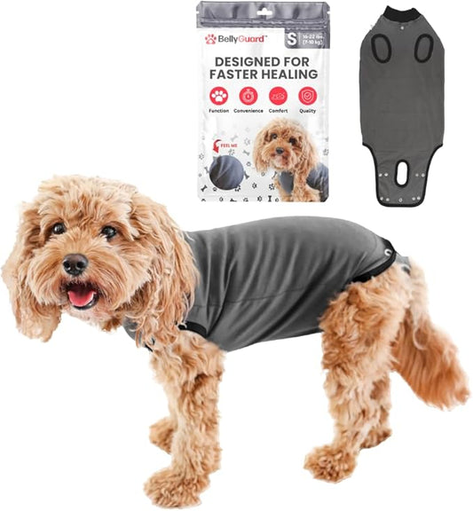 BellyGuard Dog Surgery Recovery Suit, Dog Onesie for Post-Op Care, Recovery Apparel for Female and Male, Surgical Body Cover for Canine Healing Support