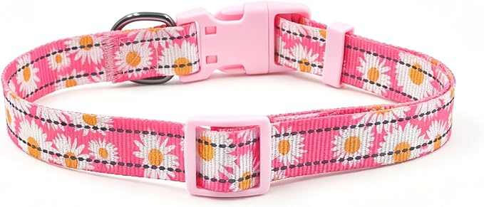 Dog Collar Leash Set, Floral Pattern, with Safety Reflective Strips, 5 ft Matching Leash, Neoprene Padded Handle, Adjustable 4 Sizes for Small Medium Large Dogs.(XS, Pink Daisy)