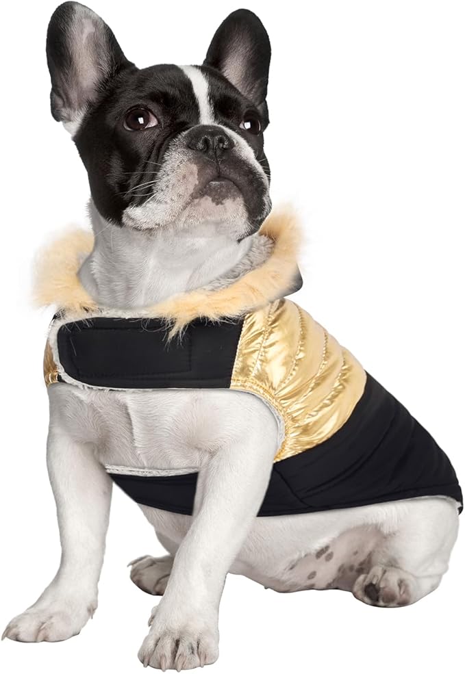 HDE Dog Puffer Jacket Fleece Lined Warm Dog Parka Winter Coat with Harness Hole 90s Black and Gold Metallic - S