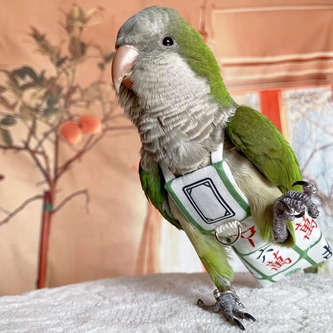 Bird Diaper Harness Flight Suit Clothes, Parrot Flight Suit with Leash for Parrot, Bird Flying Clothes with Rope and Handle for Outdoor Activities Training (Without Leash,Blue Quaker)