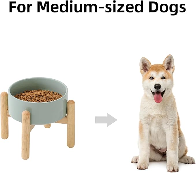Havniva Ceramic 6.1inch Raised Dog Bowl with Stand for Small and Medium Dog Dish Pet Food and Water Bowl (Single Bowl with Stand - Light Green)