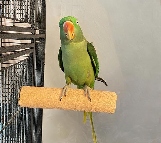 Polly's Pastels Nail Trimming & Beak Conditioning Safety Perch for Cockatiels, Cockatoos, Macaws, Parakeets, Budgies, Parrots and All Other Birds (Coral, X-Large-2" Dia. x 9" Long)