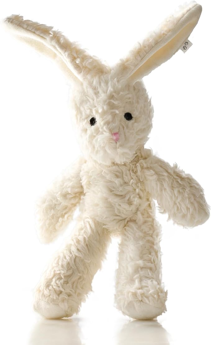 Pet Passion Plush Durable Cotton Dog Toys with Coconut Fill for All Pet Breeds, Bunny, One Size