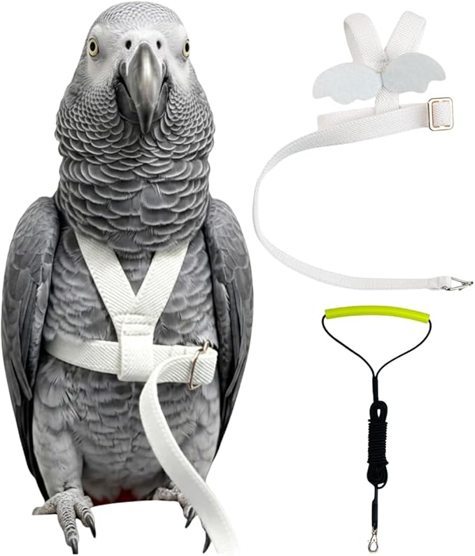 Adjustable Bird Harness with Elastic Leash, Pet Parrot Harness and Leash, Adjustable Training Design Anti-Bite, Bird Nylon Rope with Cute Wing for Conure (White,XXL)
