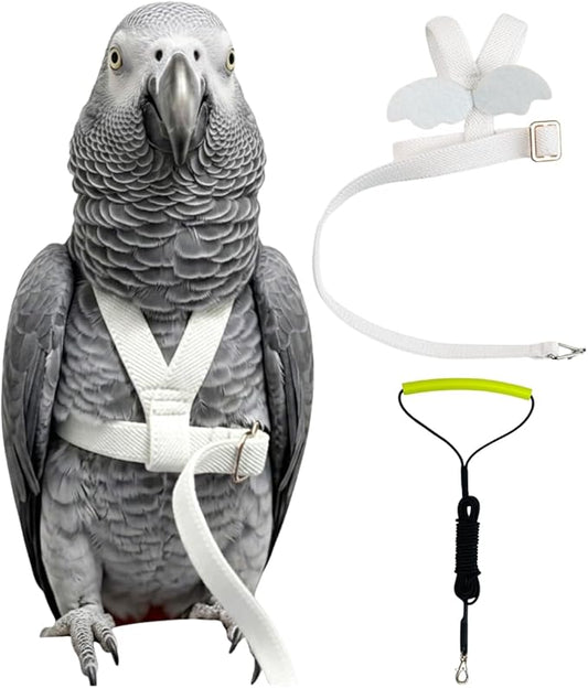 Adjustable Bird Harness with Elastic Leash, Pet Parrot Harness and Leash, Adjustable Training Design Anti-Bite, Bird Nylon Rope with Cute Wing for Conure (White,XXL)