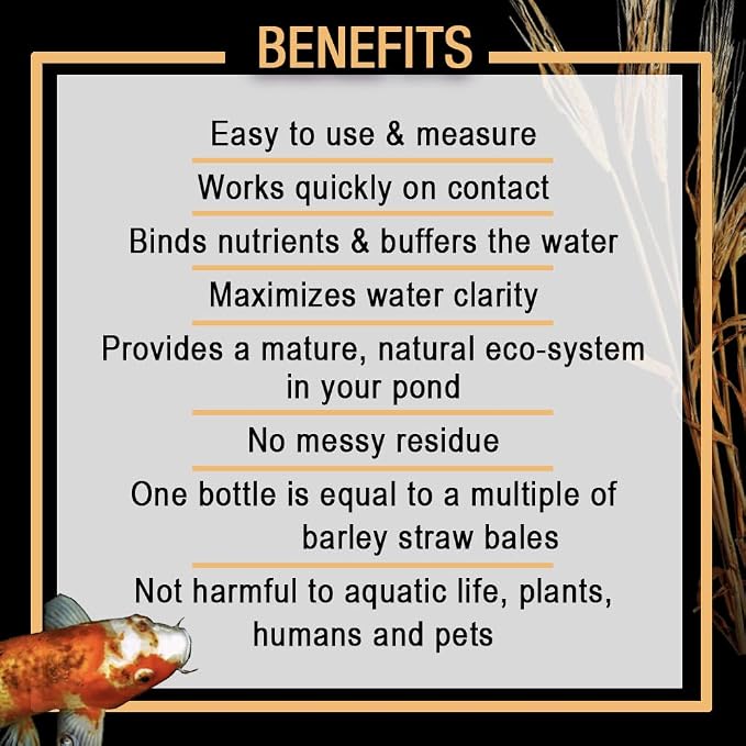 Microbe-Lift Concentrated Barley Straw Extract Conditioner for Ponds – 1 Gallon – Safe for Koi Fish, Plants & Decorations – Natural Pond Conditioner, Cost-Efficient & Organic Solution