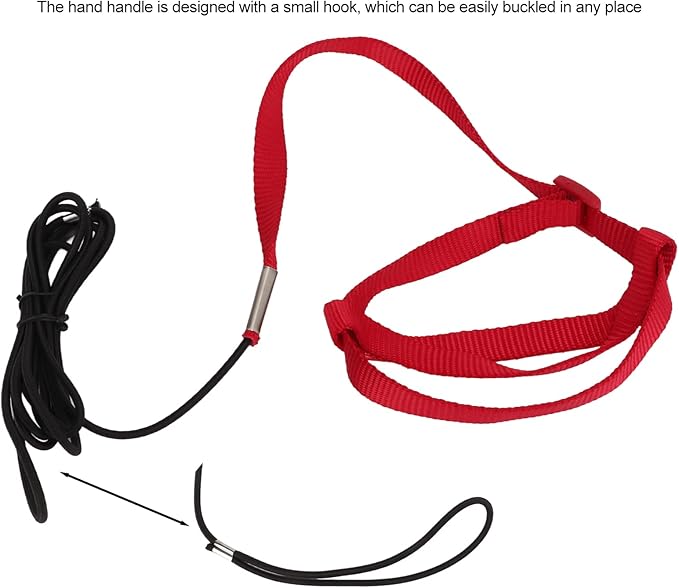 Elastic Parrot Harness Leash Bird Leash Bite Proof Harness Adjustable Parrot Flying Training Rope with Metal Hook Nylon Webbing for Cockatiels Walking (L)