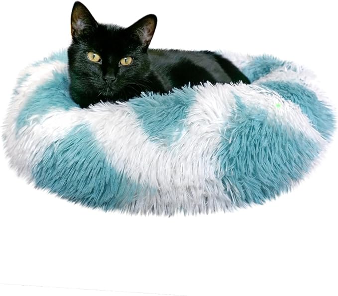 Whiskers & Friends Cat Beds for Indoor Cats, Fluffy Calming Donut Cat Bed, Small Dog Bed Washable - Orthopedic Soft Plush Pet Beds Sized for Kitten to Large Cats & Puppy to Small Dogs - Teal White