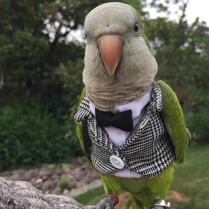 Bird Clothes Birds Flight Suit,Tuxedo Business Suit for Parrots African Greys Parakeet Cockatiel Sun Conure Christmas Party Birthday Cosplay Photo Prop Small Animals Apparel (XL,Grid Suit)