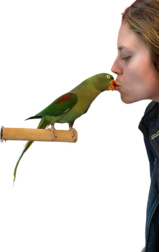 Polly's Pastels Nail Trimming & Beak Conditioning Safety Perch for Cockatiels, Cockatoos, Macaws, Parakeets, Budgies, Parrots and All Other Birds (Brown, Medium-1 1/4" Dia. x 8" Long)