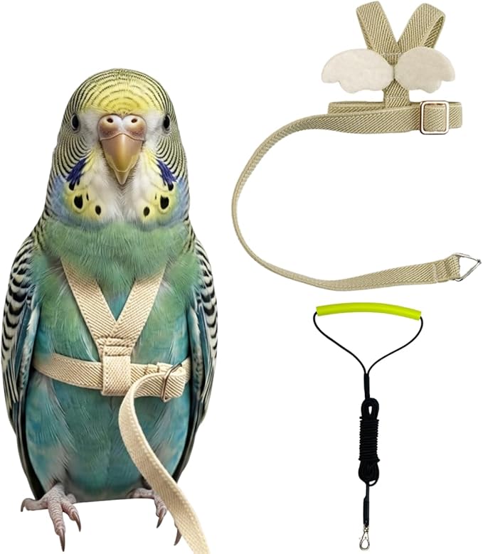Adjustable Bird Harness with Elastic Leash, Pet Parrot Harness and Leash, Adjustable Training Design Anti-Bite, Bird Nylon Rope with Cute Wing for Conure (Beige,XS)