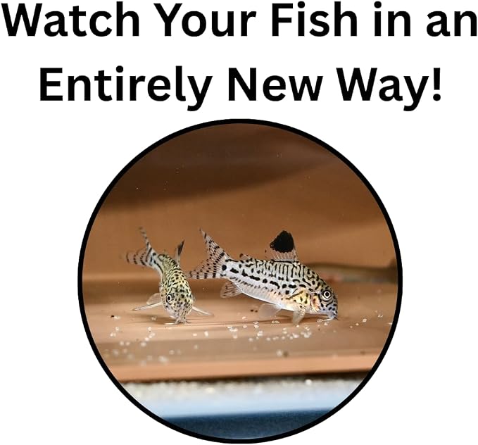 Aquarium Underground Corner Cave Natural Curve | Viewing Fish & Shrimp Under Gravel Tunnel | Fish Tank Decor Decoration Hideout Perfect for Corydora Catfish, Kuhli Loach, Pleco (Brown)