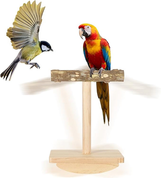 Natural Wood Bird Perch Stand Training, Rocking Perch for Birds, Intelligence Puzzle Enrichment Toys for Parakeets, Parrot Perch Stand for Cockatiels, Budgies, Conures, Bird Playground Accessories
