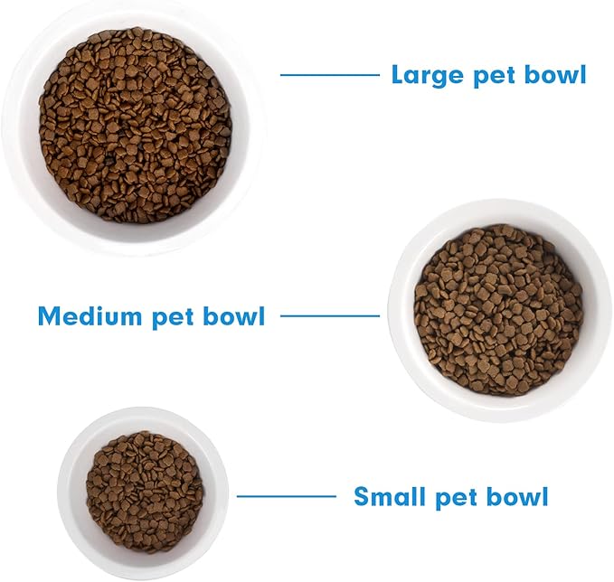 FOREYY Set of 2 Ceramic Dog Cat Bowl Set, Pet Porcelain Food and Water Feeder Dish Bowls with Anti Slip Band, Dishwasher and Microwave Safe (Large)