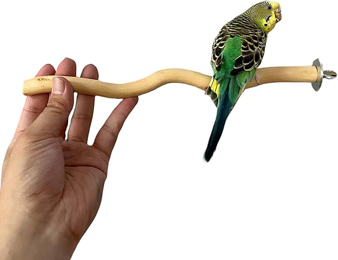 5 PCS Natural Parrot Perch Bird Stand Wooden Parrot Perch Stand Parakeet Climbing Standing Branches Toy for Small Lovebirds Budgies Cockatiels