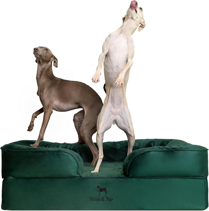 NOAH & PAW Large Dog Bed, 35x25x11 Inch, Orthopedic Dog Beds, Eggshell Memory Foam Infused with Cooling Gel, Inner Cover, Waterproof, Machine Washable (Velvet Sofa Collection)