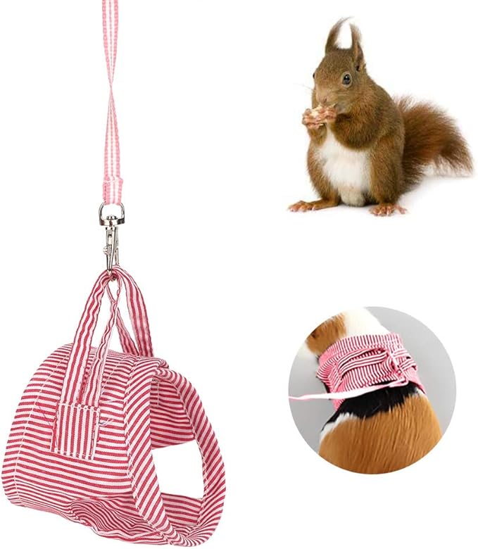 Squirrel Vest Harness, Soft Cotton Clothes for Guinea Pig and Small Pets, Adjustable Outdoor Vest and Leash Set for Small Animal Walking (L)