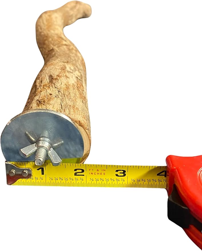 Polly's Full Length Hardwood Bird Perch, 36-Inch