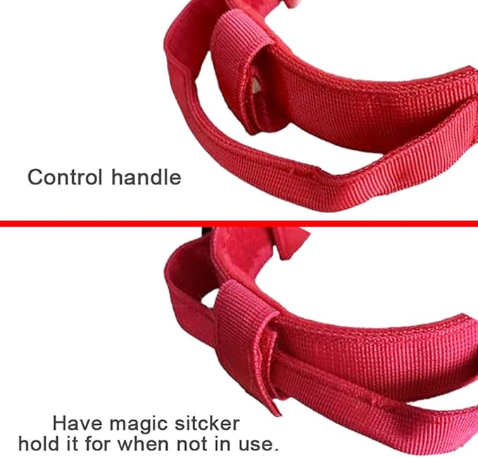 Xqpetlihai Tactical Dog Collar and Leash Set Adjustable Military Nylon Dog Collar with Control Handle and Heavy Duty Metal Buckle for Large Dogs（Red S