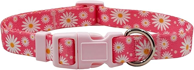 Dog Collar Leash Set, Floral Pattern, Polyester Material, Adjustable Collar and 5ft Matching Leash, for Large Dogs.(L, Daisy)