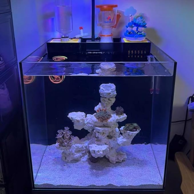 YZHZOM Dry Base Rock for Aquarium White Coral Ornament Sea Base Rocks for Aquarium Aquascaping (7lb,Mix Size & Shape)
